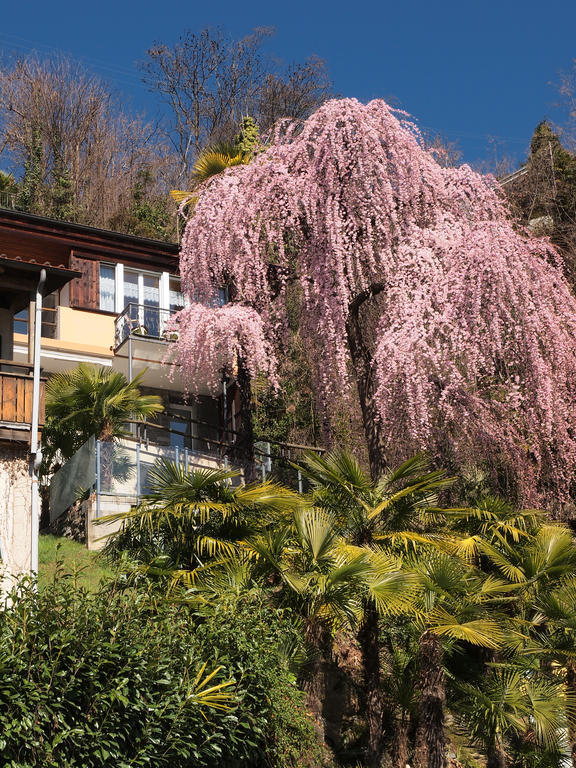 Casa Sibylle Bei Locarno Exterior foto