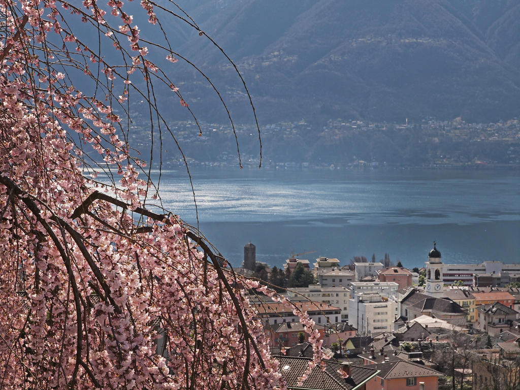 Casa Sibylle Bei Locarno Exterior foto